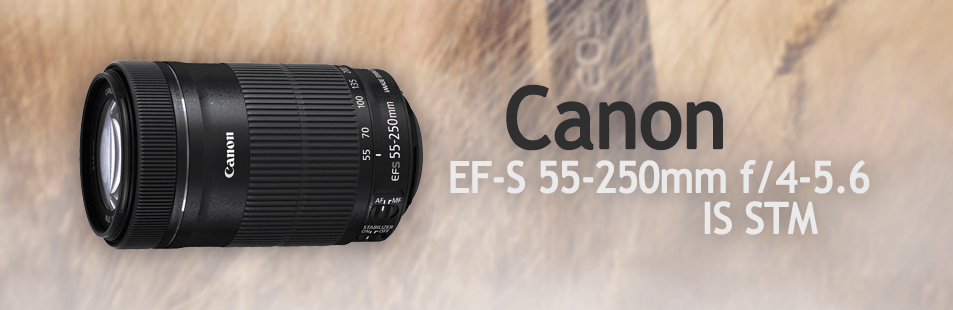 Canon EF-S 55-250mm f/4-5.6 IS STM