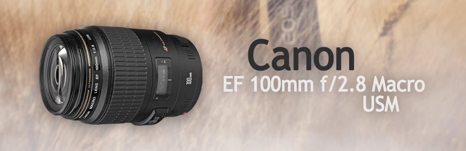 Canon EF 100mm f/2.8 Macro USM